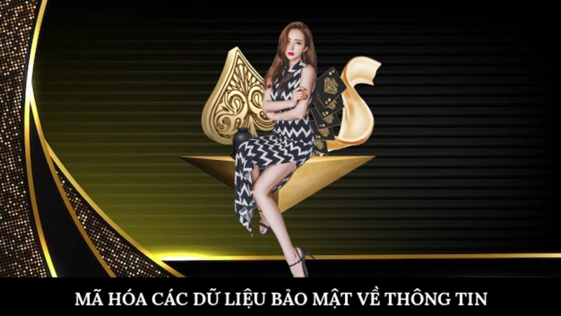 Mã hóa các dữ liệu bảo mật về thông tin