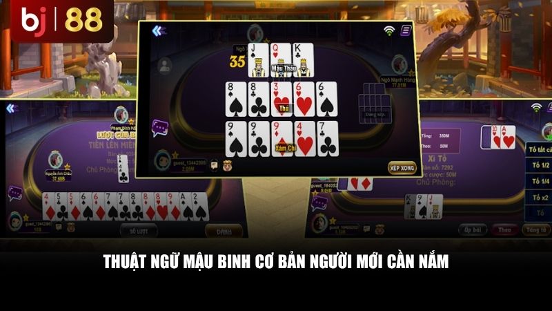 Thuật ngữ mậu binh cơ bản người mới cần nắm