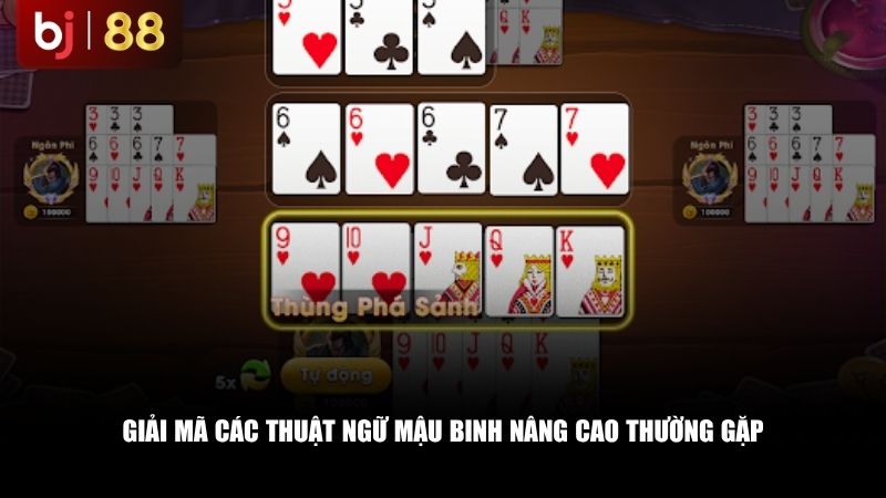 Giải mã các thuật ngữ mậu binh nâng cao thường gặp