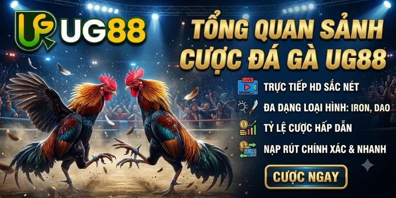 Tổng Quan Về Sảnh Cược Đá Gà UG88