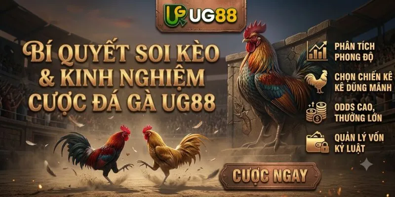 Bí Quyết Soi Kèo & Kinh Nghiệm Cược Đá Gà UG88