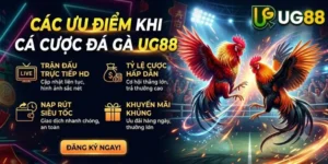 Ưu điểm khi cá cược Đá Gà UG88
