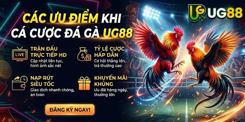 Ưu điểm khi cá cược Đá Gà UG88