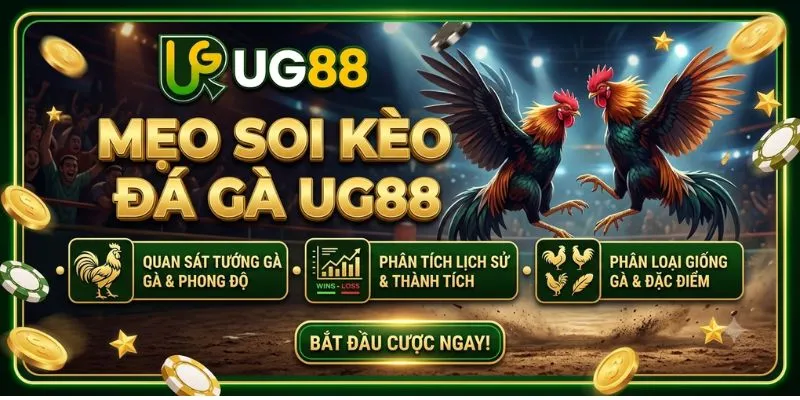 Mẹo Soi Kèo Đá Gà UG88