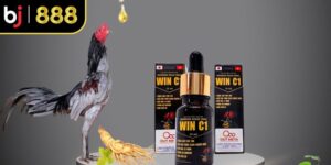 Thuốc Kích Gà Là Gì? Công Dụng, Rủi Ro Và Cách Chọn An Toàn