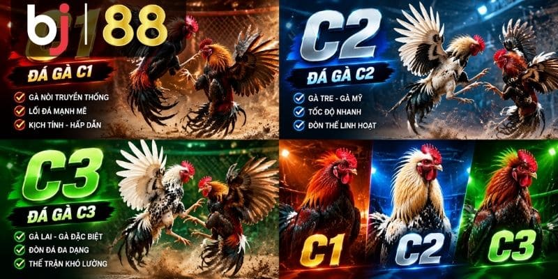 Cách phân biệt C1, C2, C3 khi xem
