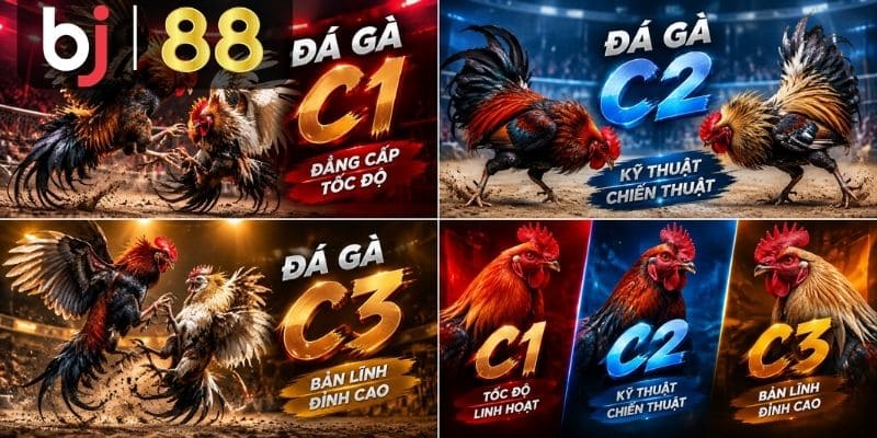 Giới thiệu về đá gà C1, C2, C3