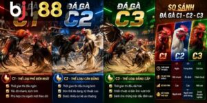 Đá Gà C1, C2, C3